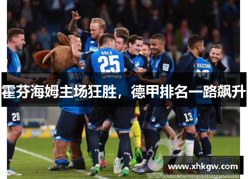 霍芬海姆主场狂胜，德甲排名一路飙升