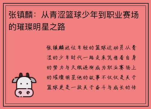 张镇麟：从青涩篮球少年到职业赛场的璀璨明星之路